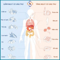 10 loại thực phẩm gây ung thư mà bạn cần tránh sử dụng