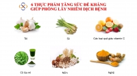 6 thực phẩm tăng sức đề kháng giúp phòng lây nhiễm dịch bệnh